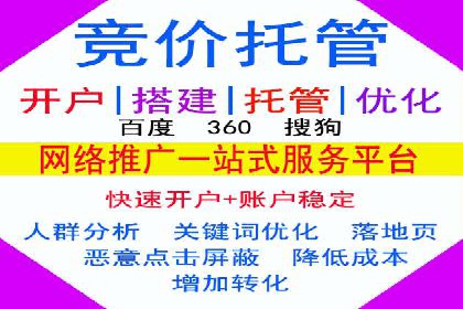 某公司如何利用SEO和SEM提升线上业务——真实案例分析